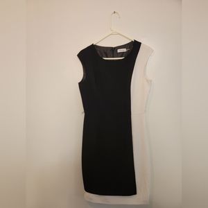 Calvin Klein Dress, Professional, Fitted, Size 6